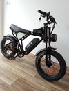  CELOODPRUŽENÉ FATBIKE ELEKTROKOLO RIDSTAR, 1000 W, 720 WH, PŘÍSLUŠENSTVÍ, ZÁRUKA