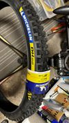 Michelin DH22 29x2,4 + DT Swiss 157x12 - 350 - FR560