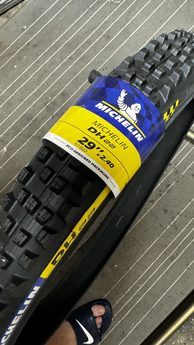 Michelin DH22 29x2,4 + DT Swiss 157x12 - 350 - FR560