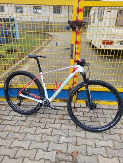 Specialized Stumpjumper carbon 29 L