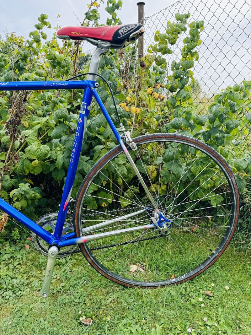 Colnago master Piu