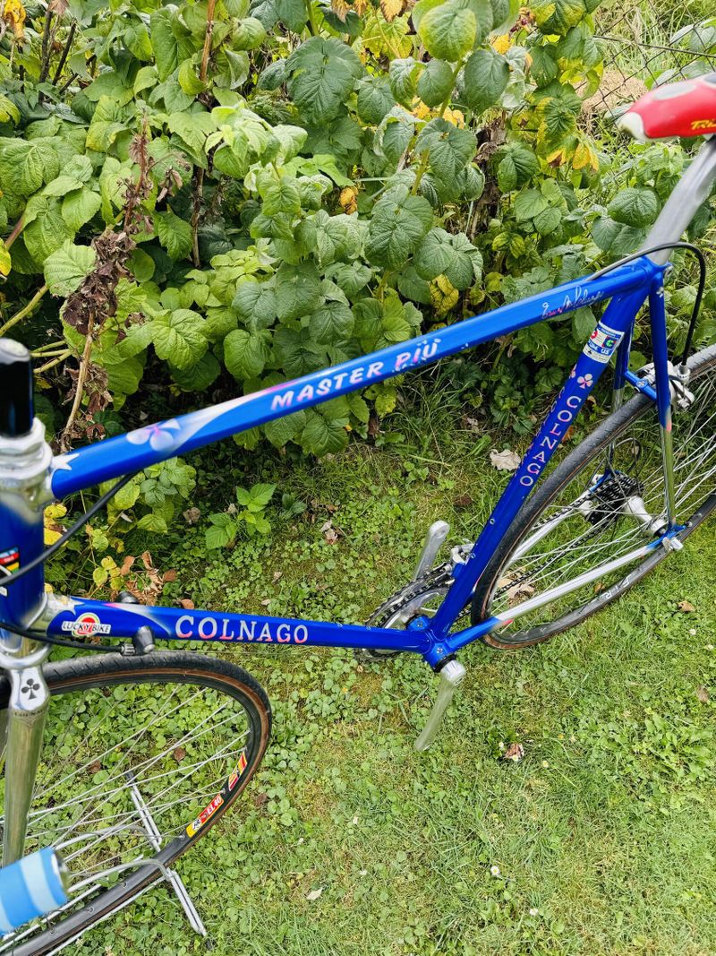 Colnago master Piu