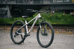 Nukeproof Scout 29 - RAW-Al 