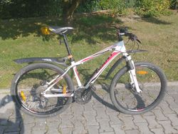 Giant Revel 0, 26", velikost S