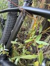 Kolo Specialized epic karbon