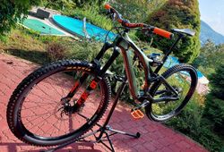 Orbea Rallon 2020 L