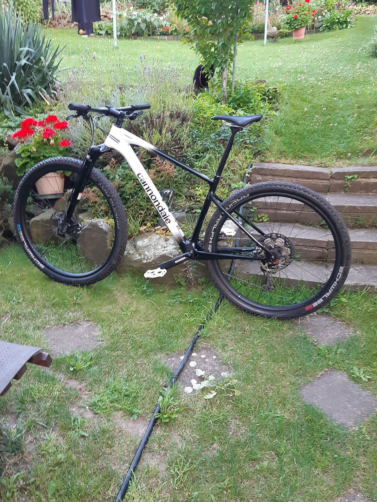 Cannondale Scalpel HT Hi-Mod 1