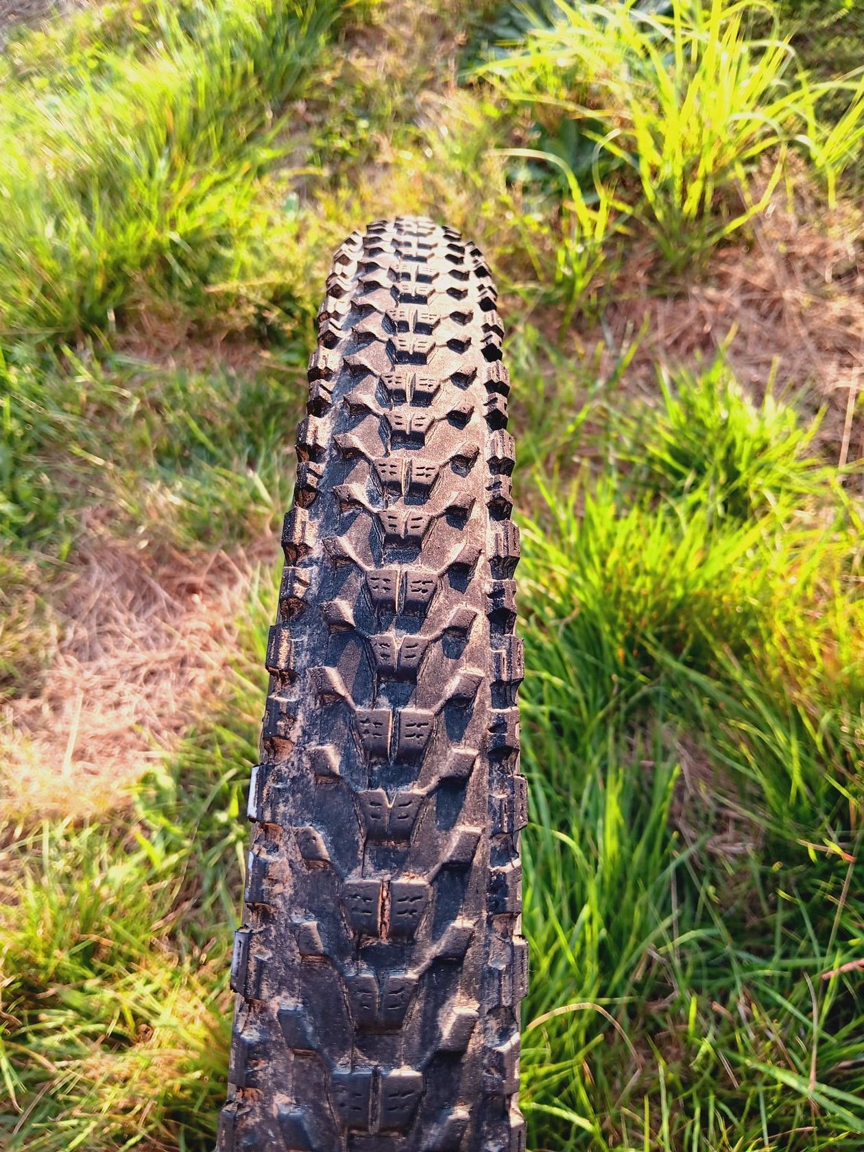 Maxxis ardent race 27.5 x 2.2