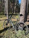 Cannondale TOPSTONE 4