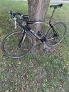 Specialized Allez sport double carbon vidle