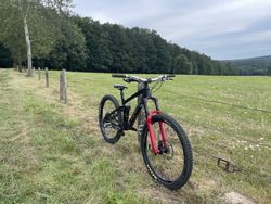 TREK REMEDY 8 2020 CUSTOM