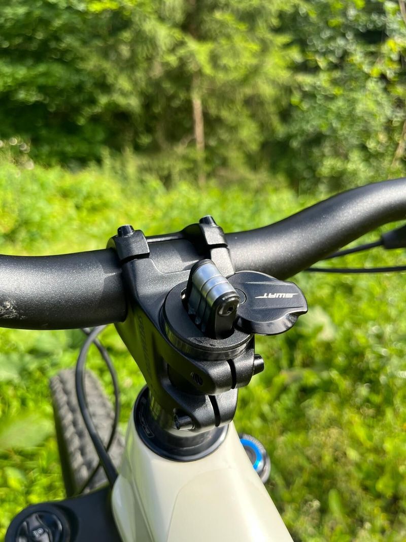 Specialized Enduro Elite 2020