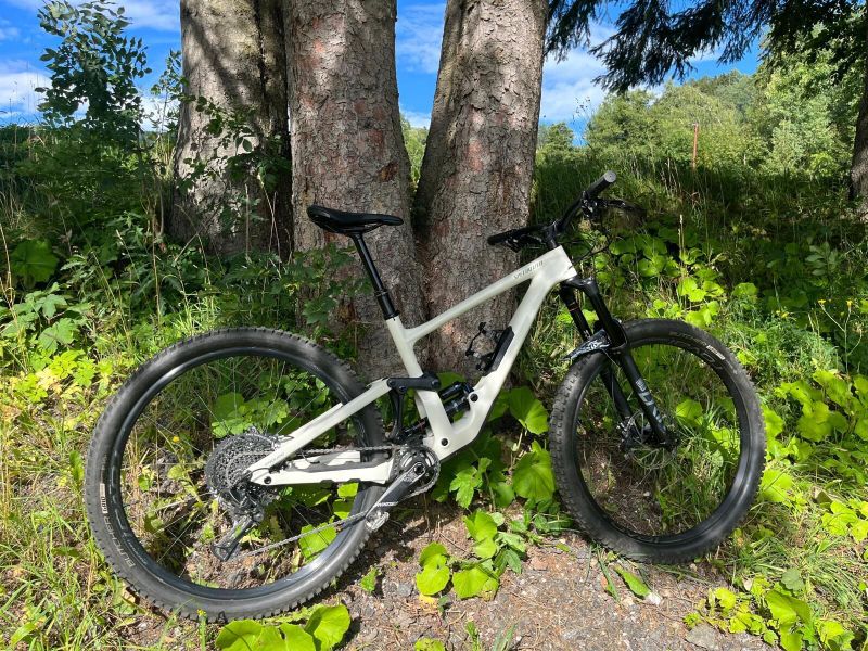 Specialized Enduro Elite 2020