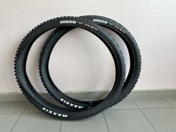 Maxxis Assegai 29x2,5WT 3C MaxxTerra EXO+ TR NOVÉ