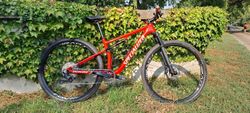 specialized epic comp 