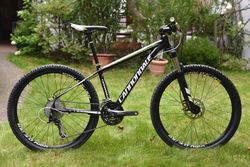 2013 Cannondale Trail SL 4