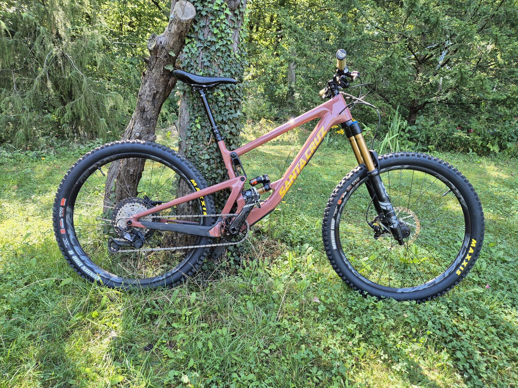 Santa Cruz - Bronson CC v3 