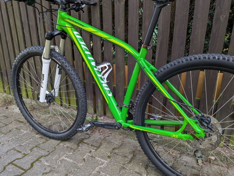 Specialized Rockhopper 29" L 