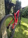 SPECIALIZED EPIC COMP