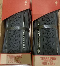 Specialized Terra pro 2BR