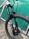 Nukeproof Scout 290 - RAW-Al