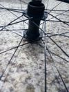 Kola Bontrager Paradigm Comp 25 TLR Disc Road Wheel 