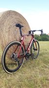 Trek MADONE SL6 GEN7 2024, vel.60