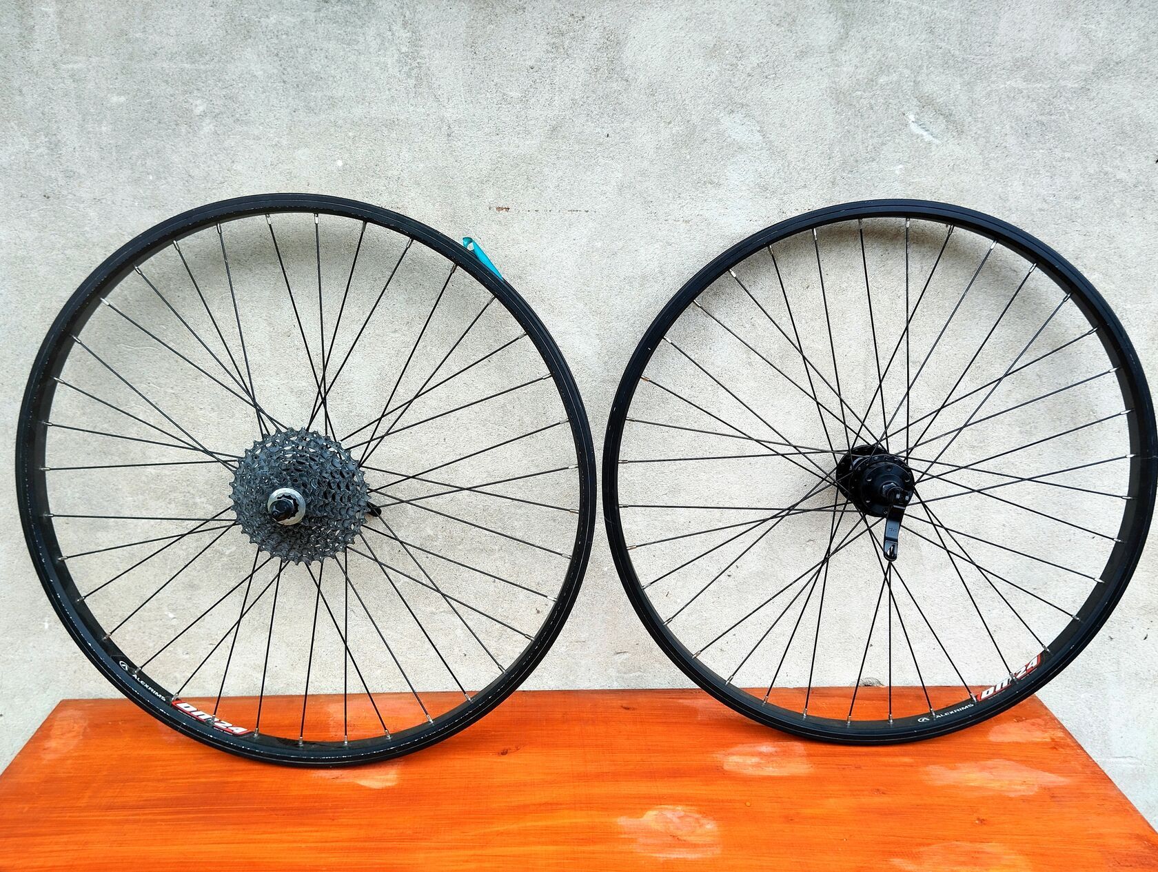 Alex Rims DM 24