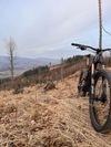 2020 S-Works Stumpjumper 29