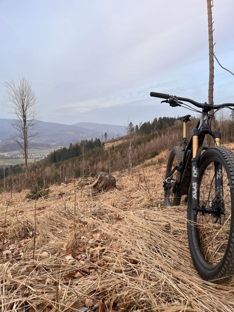 2020 S-Works Stumpjumper 29