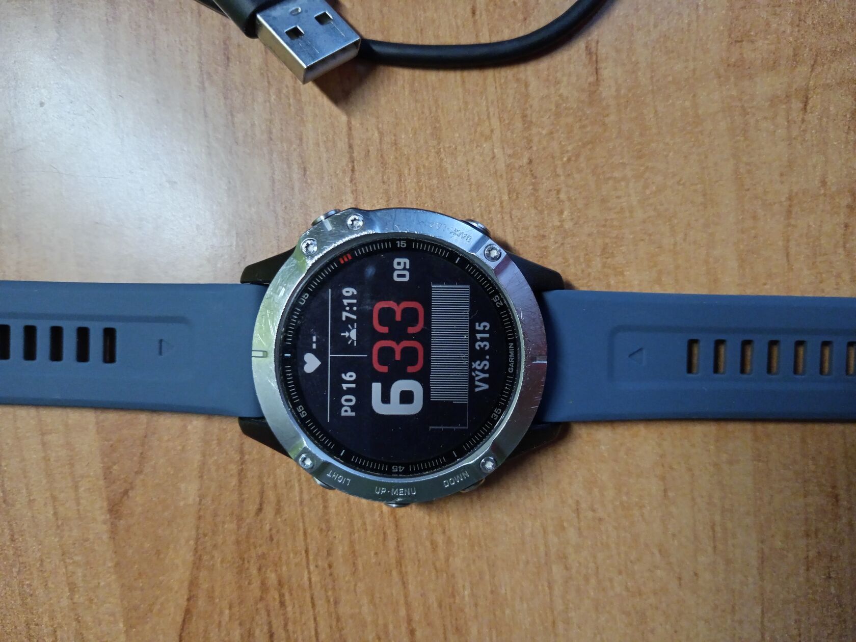 Garmin fenix 6 