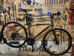 Trek FX 2 L 2023