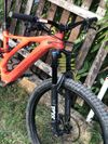 Specialized Levo SL