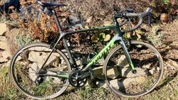 Giant TCR Advanced 2 2018