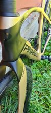 Pinarello grevil F 2024