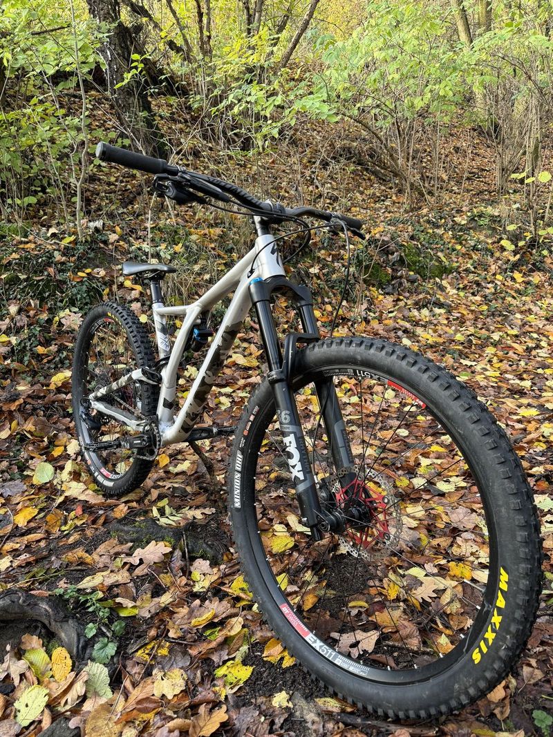 Specialized Stumpjumper EVO