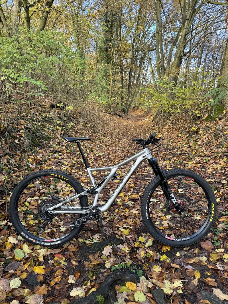 Specialized Stumpjumper EVO