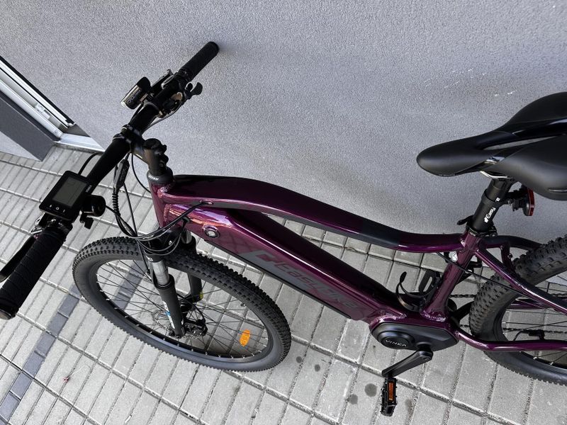 Elektrokolo Elektra Easybike 