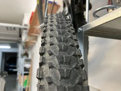 27,5 x 2,20 - MAXXIS - ARDENT RACE - TR EXO - Kevlar