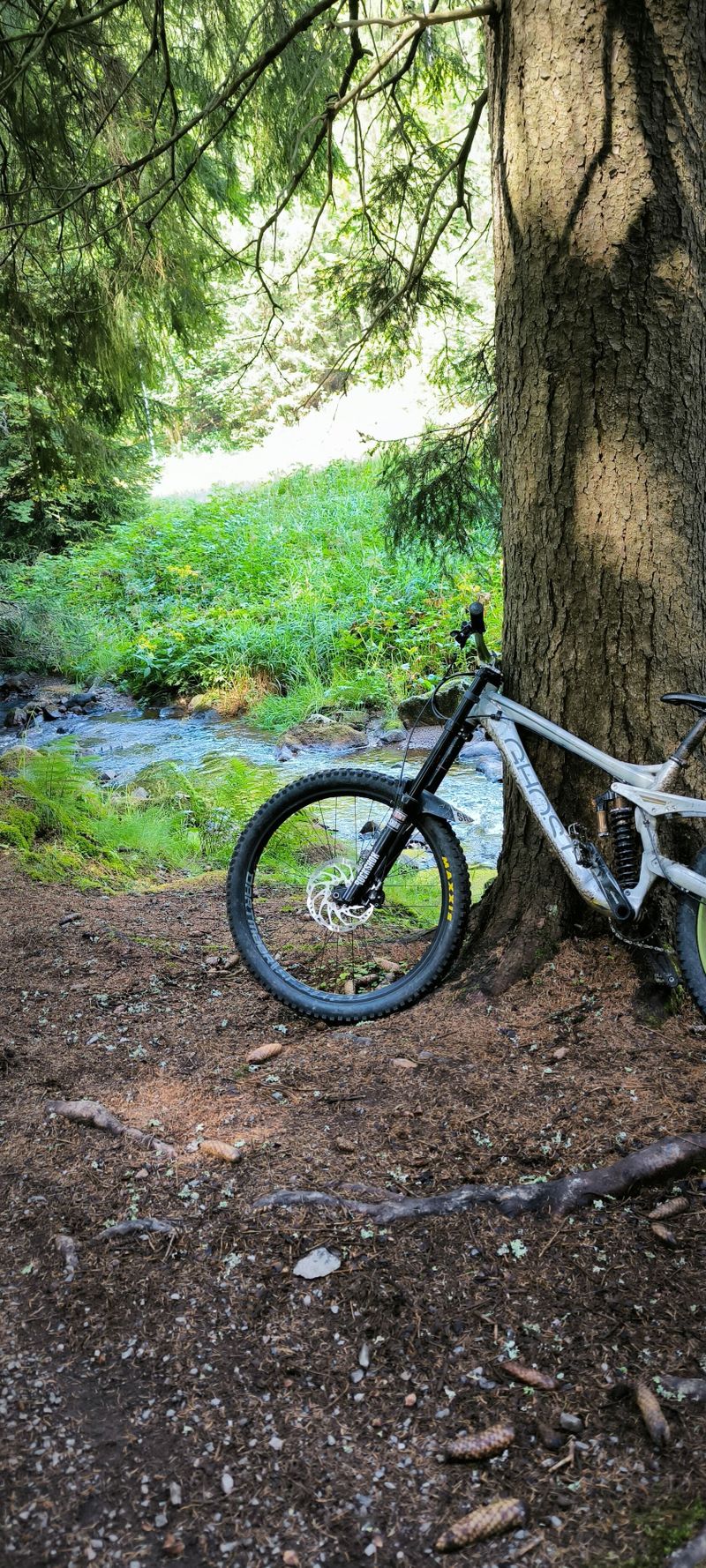 VYMĚNÍM nebo PRODÁM sjezďáka Ghost Downhill Mullet 9000 rok 2018