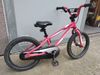 Specialized Hotrock