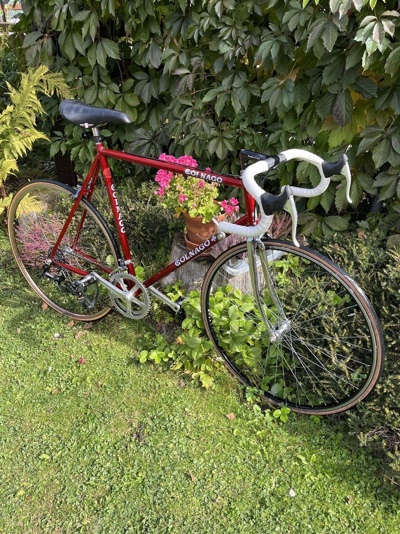 Colnago retro silniční 