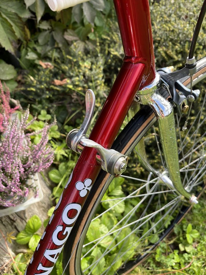 Colnago retro silniční 