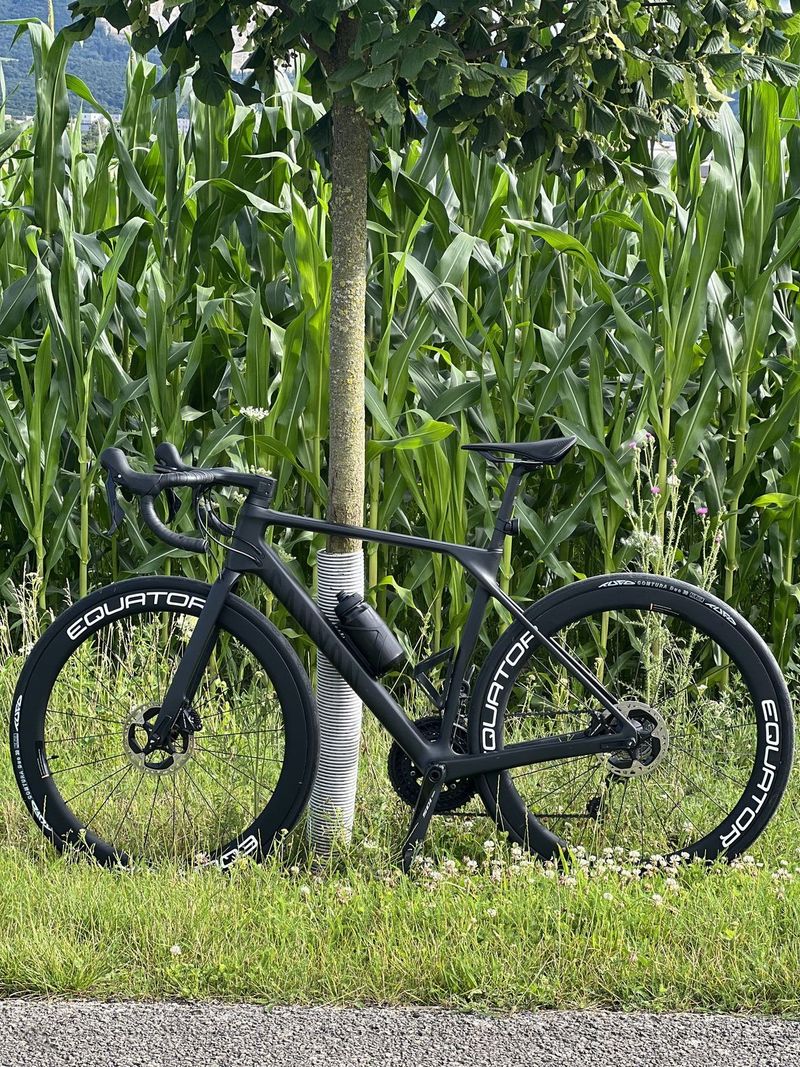 Canyon Endurace CF 7 disc - top stav 