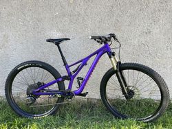 Specialized Stumpjumper ST S