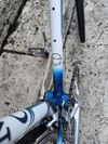 Olmo + shimano 600 tricolore 