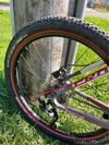 MTB XC FOCUS Black forest