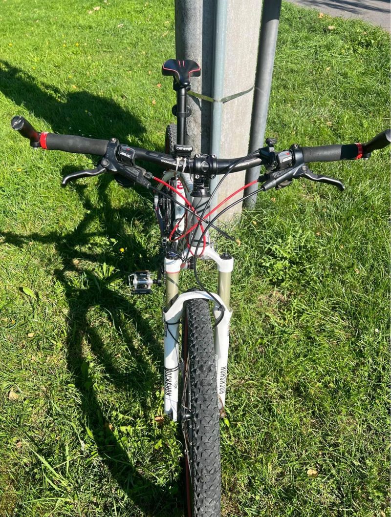 MTB XC FOCUS Black forest