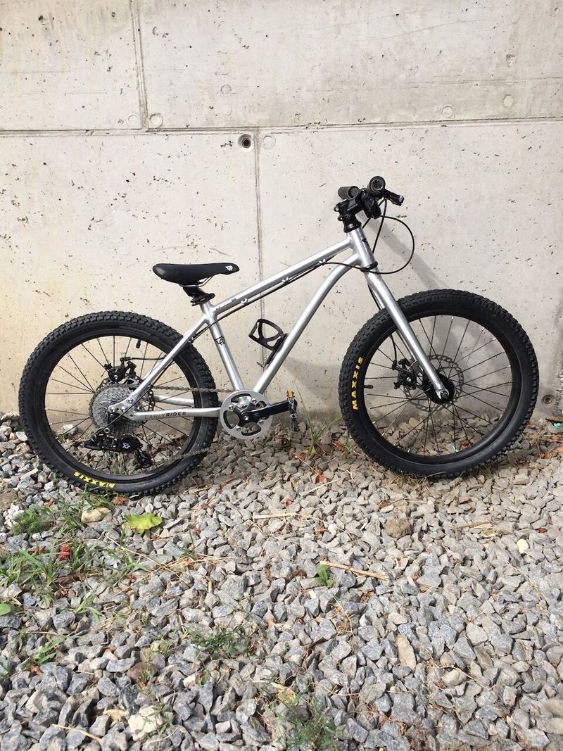 Early Rider Seeker 20"