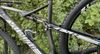 Specialized Epic FSR carbon World Cup / vel.M / Sram GX